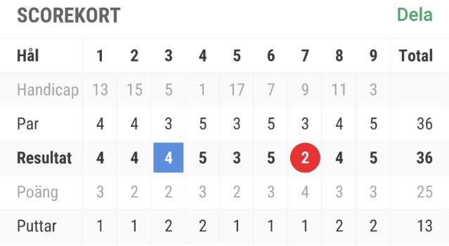 Golf scorekort med detaljer för hål, handicap, par, resultat, poäng och puttar för nio hål.