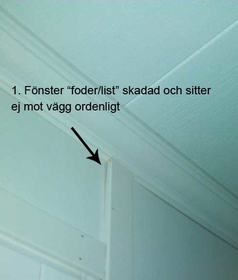 fönsterlistskadad.jpg