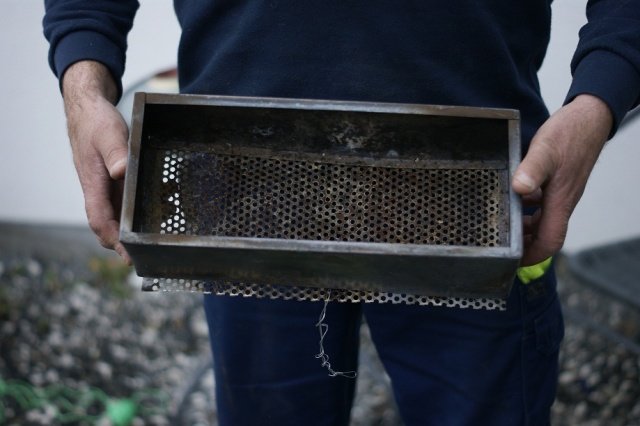 box1.jpg