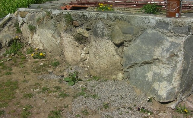 SANY0056.jpg
