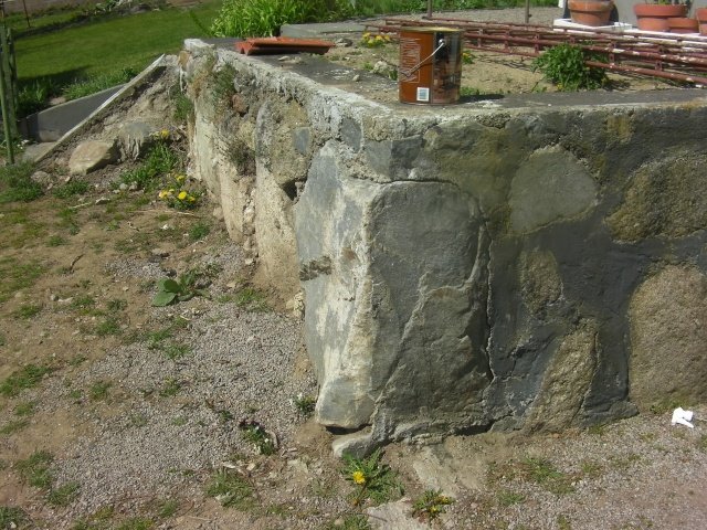 SANY0058.jpg