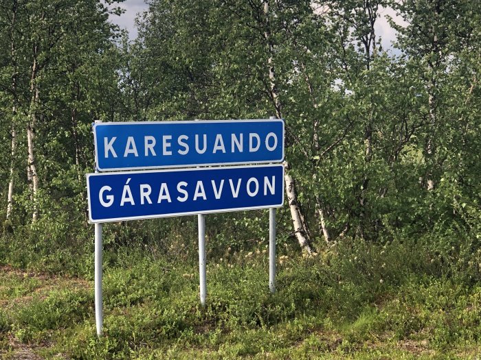 Vägskyltar med texten "KARESUANDO" och "GÁRASAVVON" framför björkvegetation.