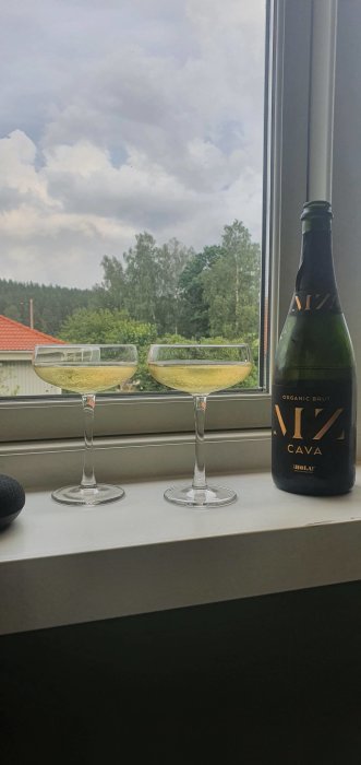 Två glas med bubbel på ett fönsterbräde, med en flaska cava och utsikt över träd och byggnader.