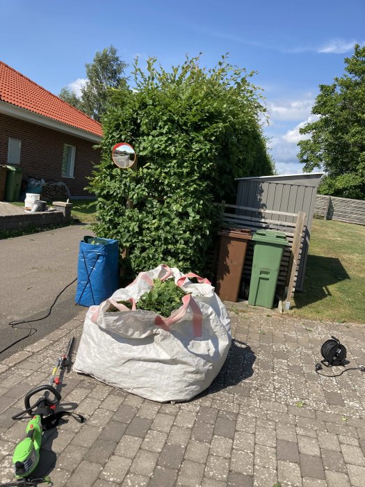 Övervuxen häck vid hus med klipputrustning och uppsamlad grönska i vävbag.