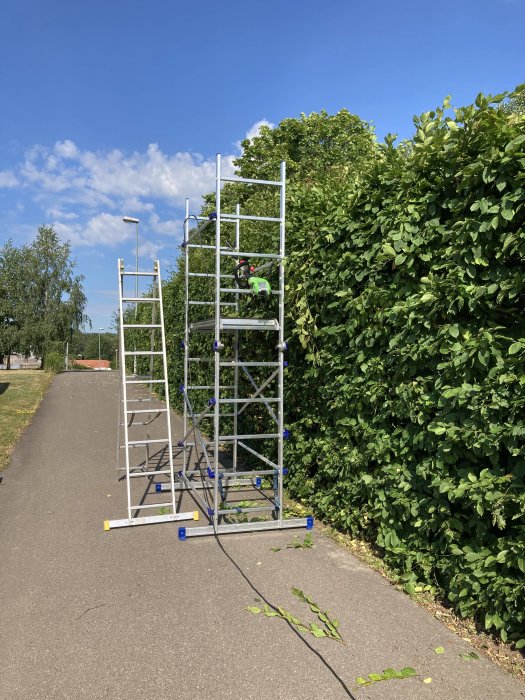 Ställning vid en stor, övervuxen häck som behöver klippas ner.