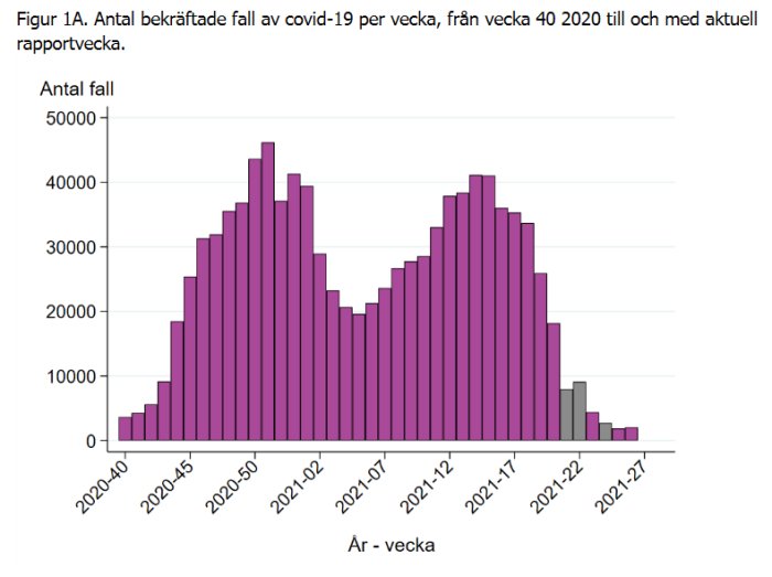 Stapeldiagram som visar antalet bekräftade COVID-19 fall per vecka från 2020 vecka 40 till 2021 vecka 27.