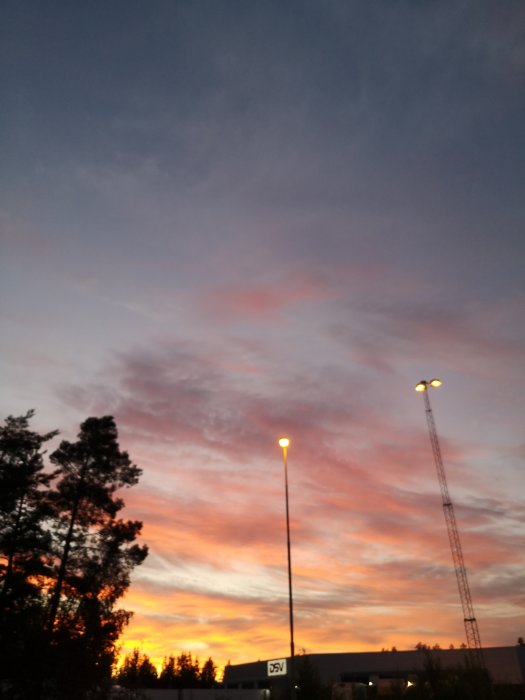 Solnedgång med orange och rosa himmel över en silhuett av träd och gatlyktor.