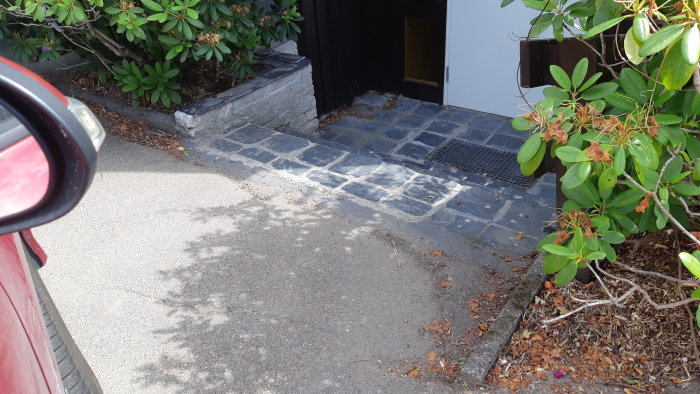 Uppfart med svag lutning mot en trappa ned till ett hus, synlig pöl ovanför trappan med en gallerbrunn.