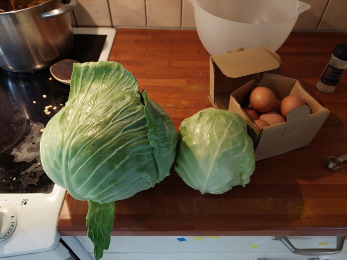 Två stora skördade vitkålshuvuden på ett köksbord bredvid en öppen äggkartong.