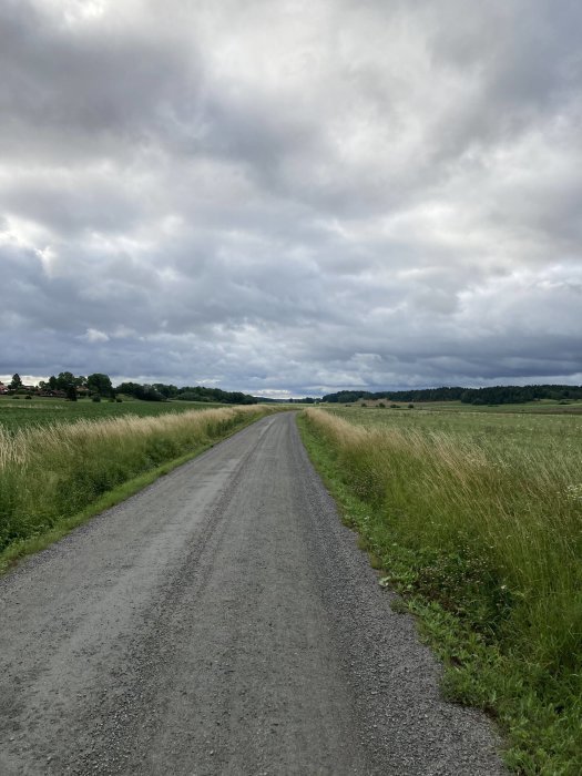 Grusväg omgiven av gräs som sträcker sig genom ett öppet landskap under molnig himmel.