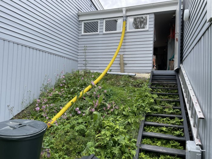 Gult plaströr leder bort vatten från stuprör längs grått garage och trädgårdstrappa omgivet av grönska.