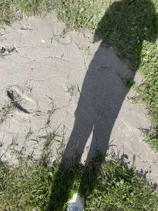 En person står på en grushaltig yta med sprickor och grässtrån, foten vid kanten där gräs möter den gråa marken.