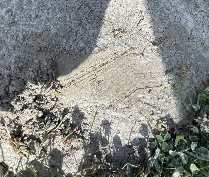 Grå, halvhårt material i gräsmatta med fotavtryck och mörkare underyta, eventuell cement eller lera.