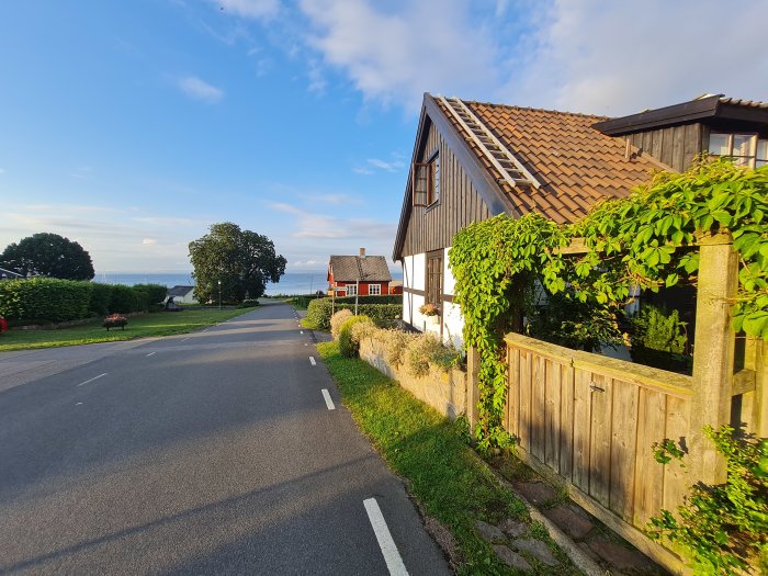 Lantlig väg med hus, grönska och havsutsikt i solnedgång.