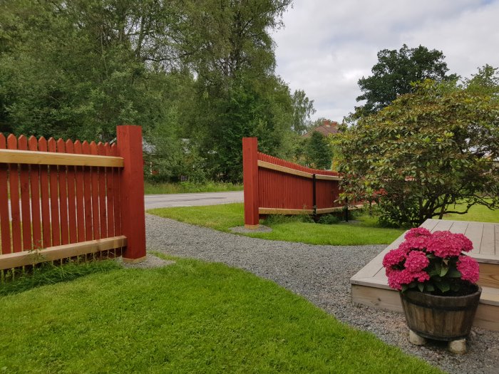 Nymålat rött staket med grindstolpar och nysågade brädor i en välskött trädgård, gräsmatta och blommande buskar.