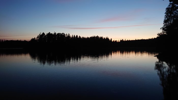 Solnedgång med silhuett av träd reflekterande i en lugn sjö.