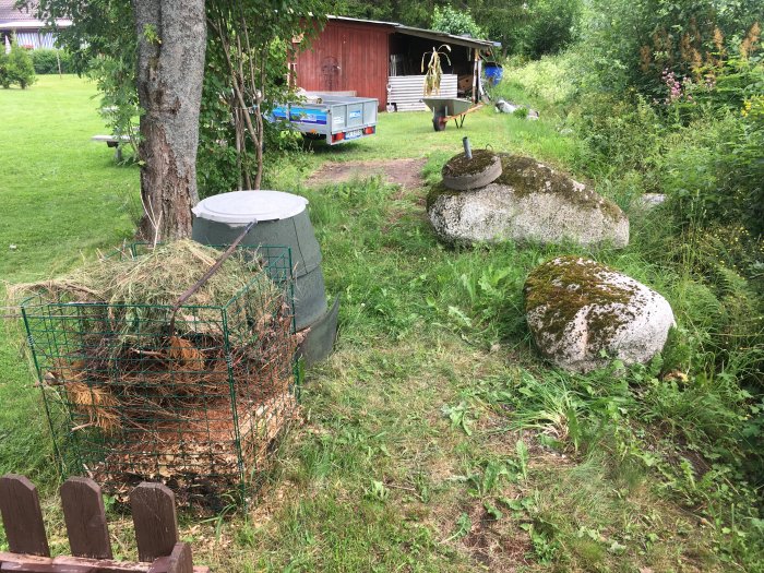 Trädgård med stora grävda stenar, kompostgaller, gräsmatta och bakgrund med träd och förråd.