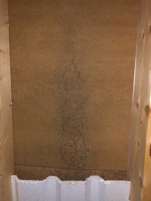 image1.jpeg
