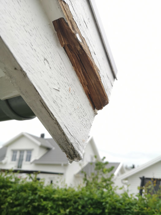 Rötskadad vindskiva med flagande färg på ett hus.