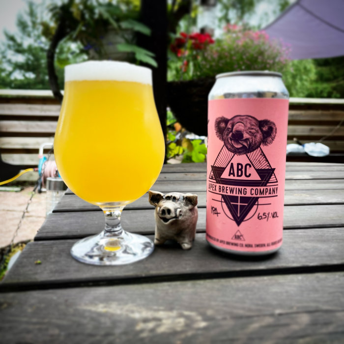 Ölglas fyllt med gyllene dryck bredvid en rosa burk med en björn från Apex Brewing Company, liten grishundfigur framför.