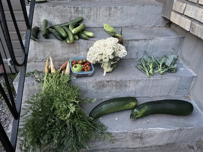 Färska grönsaker såsom gurkor, morötter, tomater, blomkål och zucchini utspridda på betongtrappsteg.
