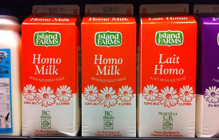 Flera kartonger av kanadensisk homogeniserad mjölk märkt "Homo Milk" i en mataffylld hylla.
