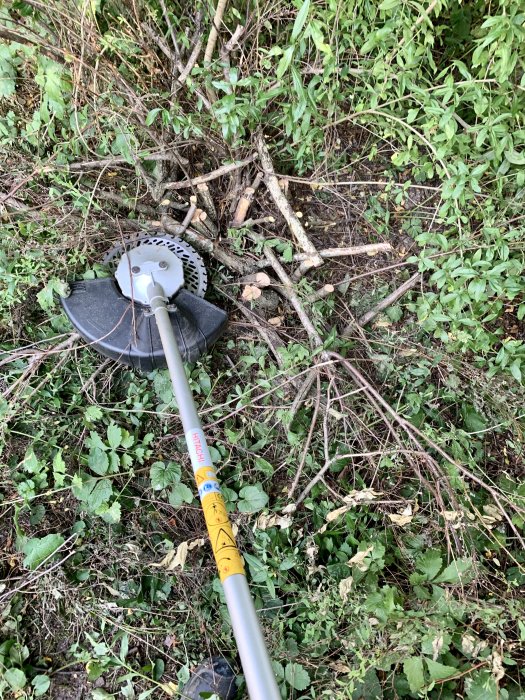 Eltrimmer med ny sågklinga redo för användning på en nyligen beskuren häck.