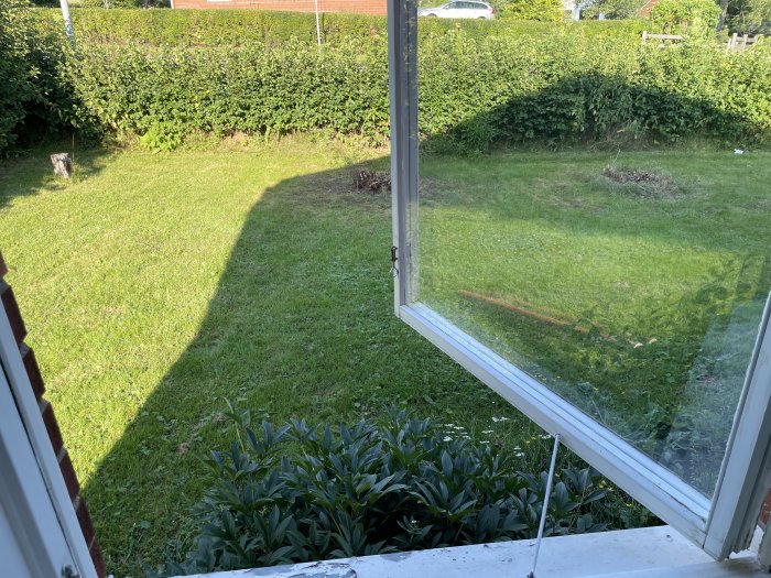 Tomtgräns med grönt gräs och buskage sedd från ett fönster där en köksträdgård planeras.