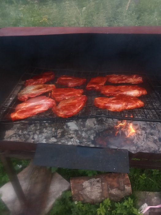 Marinerade kotletter grillas över öppen eld utomhus, perfekt för en fest med tillbehör.