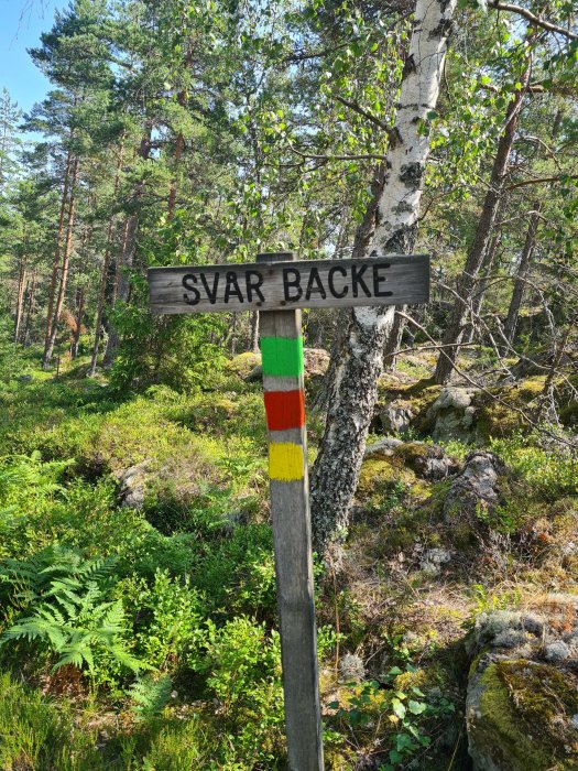 Skylt med texten "SVÅR BACKÉ" i skogen och ett träd markerat med vandringsledens färgmarkeringar.