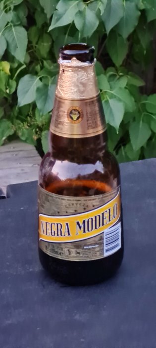 Flaska av Negra Modelo öl på ett bord med suddig grönska i bakgrunden.