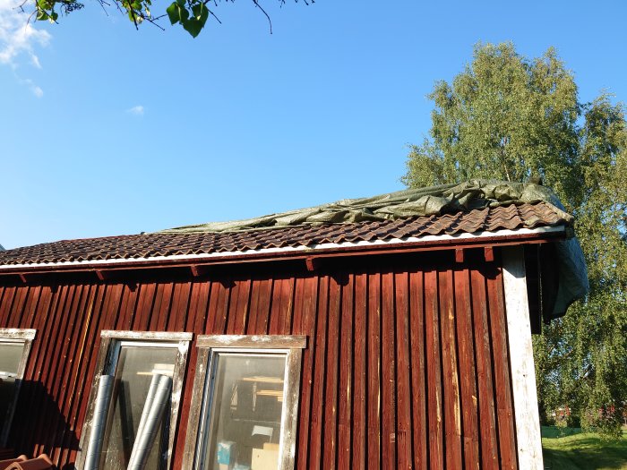 Halva taket på ett gammalt uthus är täckt med presenning efter att takpannor tagits bort.