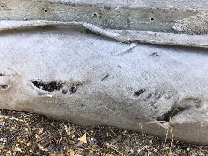 Skadad geotextil med revor vid en husgrund, täckt av gammal täcklist och grus.