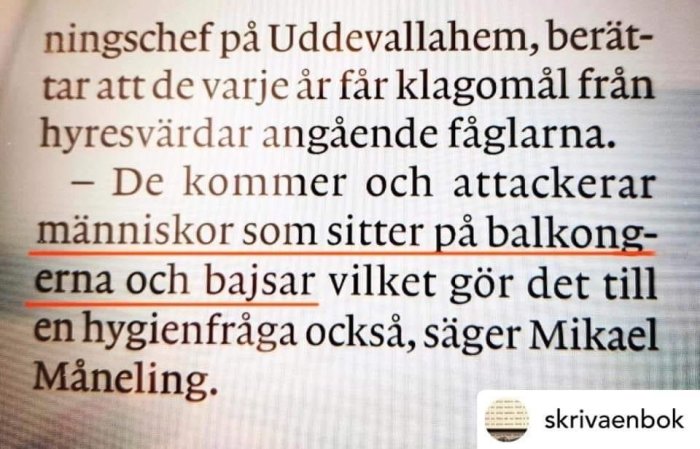 Närbild av en textutdrag där någon diskuterar problem med fåglar som besvärar balkongsittande människor och hygienfrågor.