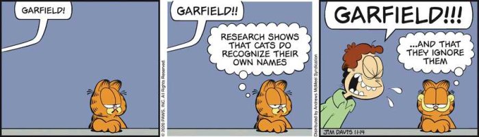 Serie med tre rutor där en person ropar "Garfield!" och en katt, Garfield, ignorerar medan personen kommenterar katters namnigenkänning.