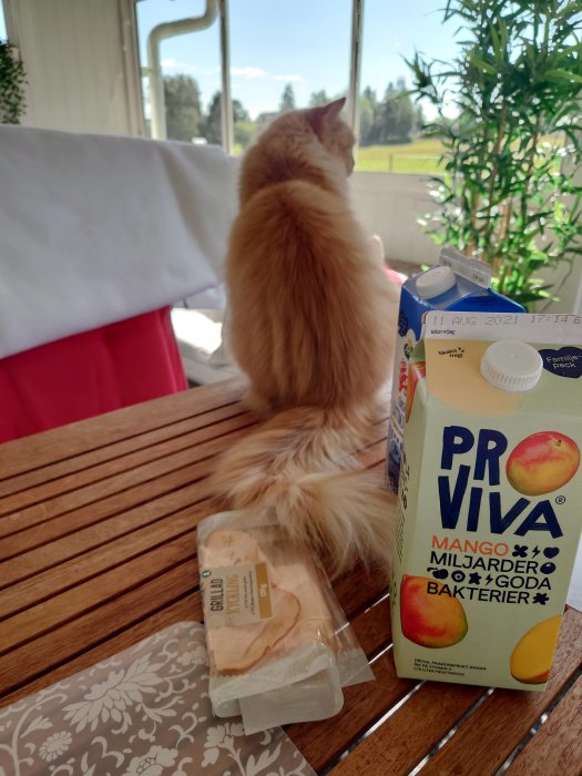 Katt tittar ut genom fönstret vid ett frukostbord med pålägg och juicekartong.