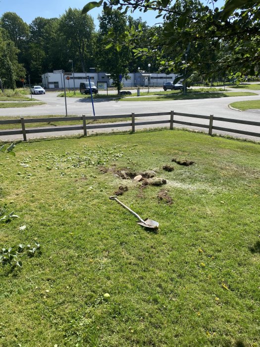 En solig trädgård med fällda trädstubbar och grenar på gräsmattan, en spade i förgrunden.