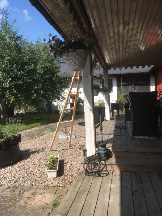 Växtstöd i form av en hängkorg med blommor på en träveranda i en trädgård, stege och krukväxter syns.