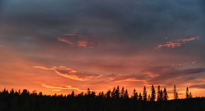 Solnedgång med orange himmel och silhuett av trädlinje mot kvällshimlen.