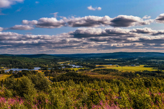 Vy över ett blommande bergslandskap med skog och en sjö i bakgrunden under en molnig himmel.