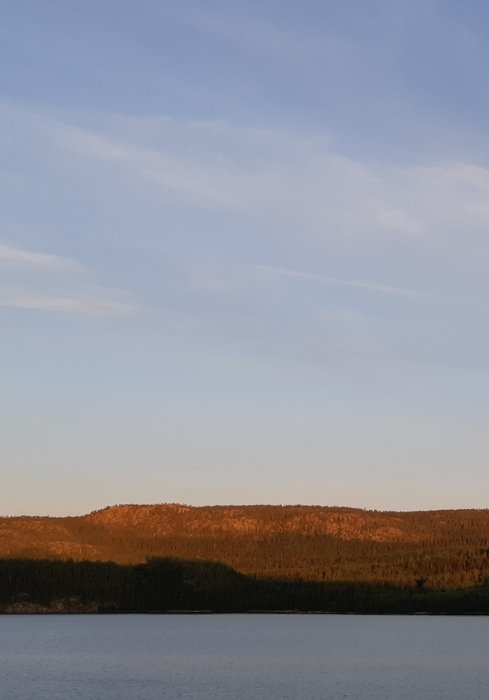 Soluppgång med mjukt ljus över skog och vatten vid gryningen.