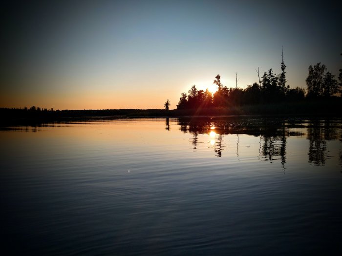 Solnedgång reflekteras i stilla vatten med träd vid kanten och klar himmel.