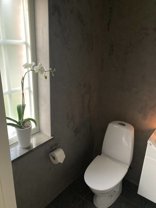 Ett modernt badrum med grå kaklade väggar, toalettstol, fönster och en orkidé på fönsterbrädan.