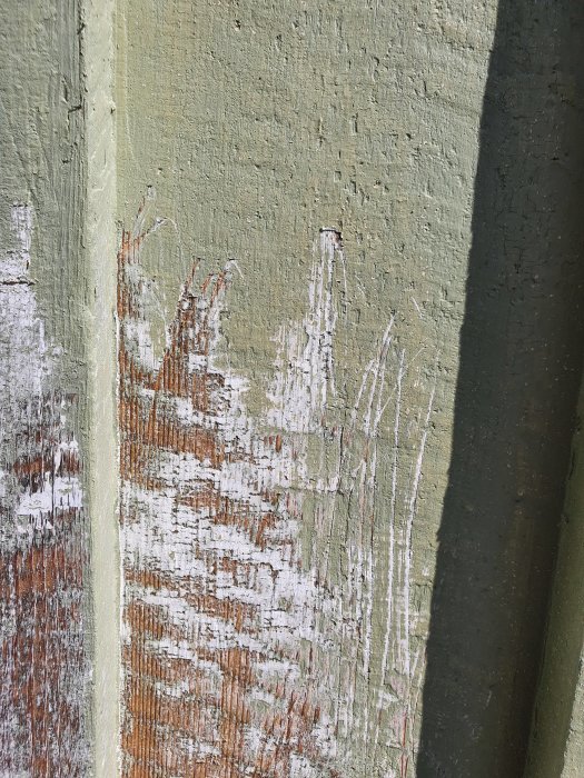 Skrapat trä med rester av gammal grönmålad grundfärg och vita krackeleringar på en vägg.
