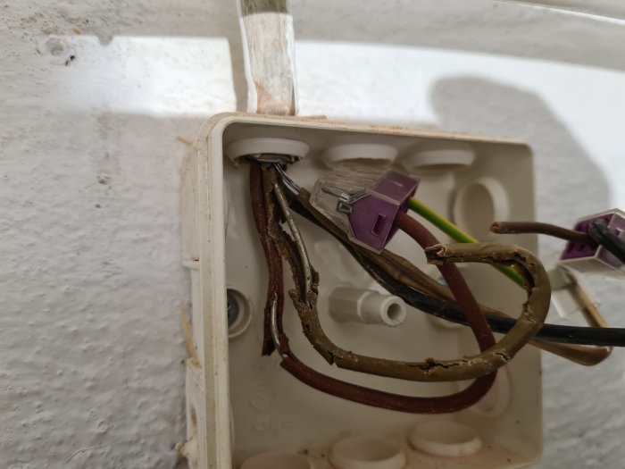 Öppen elektrisk dosa med synliga ledningar och kabelklämmor, planerad för att koppla in ett vägguttag.