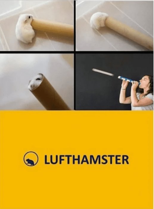 En hamster i ena änden av ett rör med motsvarande tom ände ovanför, och en person som blåser i röret på en svart bakgrund, med logotypen "LUFTHAMSTER".