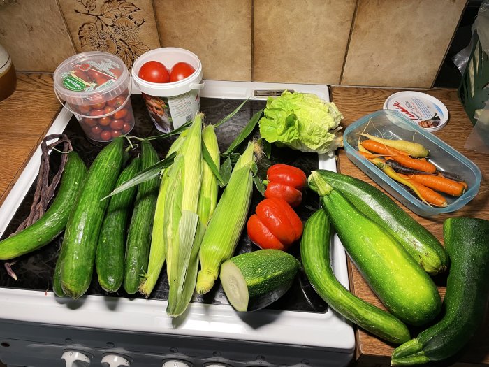 Färska grönsaker ovanpå ett köksbord med zucchini, majs, tomater, sallad och morötter.