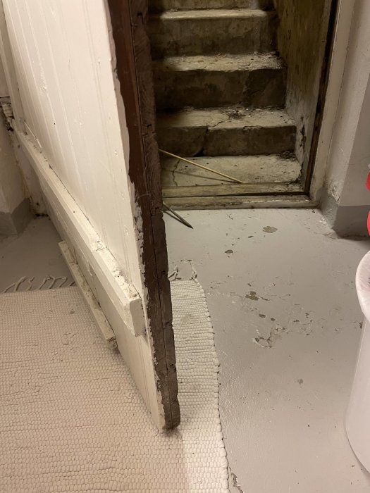 Gammal trädörr till källare med tecken på vattenskada vid tröskeln och vått golv.