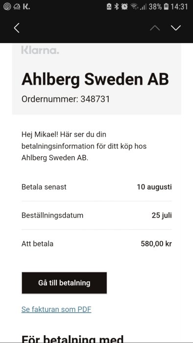 Skärmbild av en betalningsinformationssida från Klarna för ett köp hos Ahlberg Sweden AB.