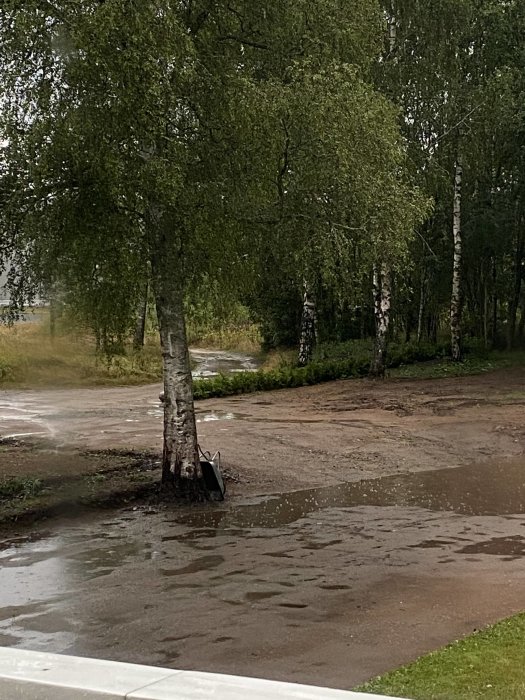 Garageuppfart med bred yta av sand och grus och en stor vattenpöl vid träden.